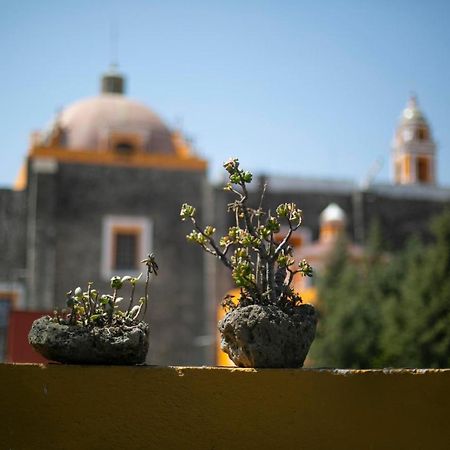 Majikal B&B -Retro Cholula Exterior foto
